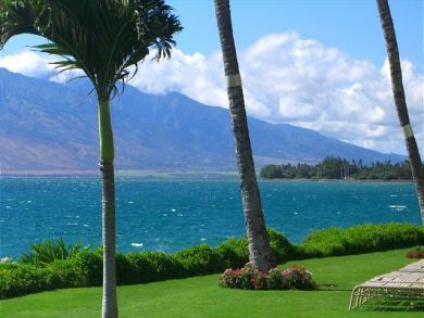 Kihei Condo 896230